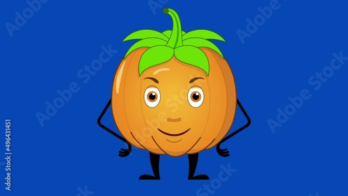 Cartoon pumpkin talking loop with alpha channel. Vegetable animation on a transparent background.