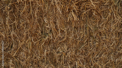 Hay storage with harvested bales of hay for cattle. Agricultural barn canopy with square bales hay in summer