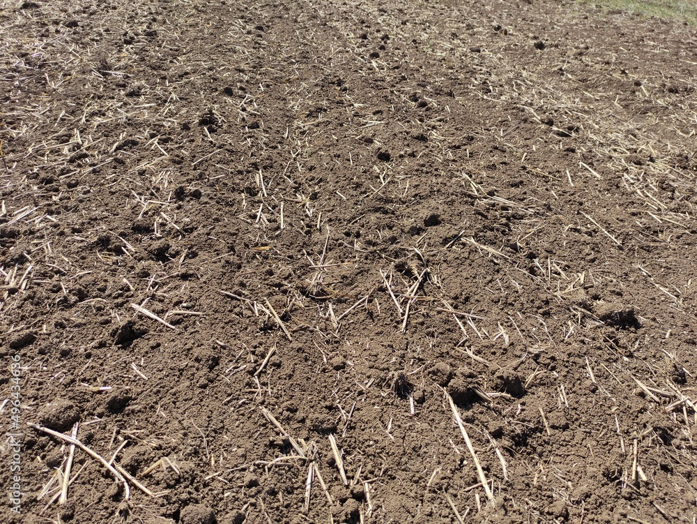 soil in the ground soil in the ground