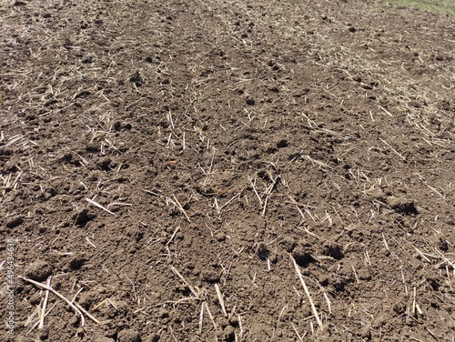 soil in the ground