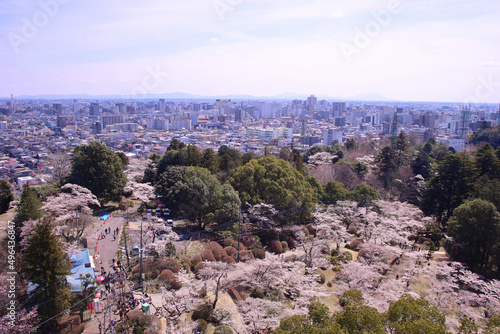 宇都宮市　宇都宮タワーから見た八幡山公園と街並み（JR宇都宮駅方向） photo