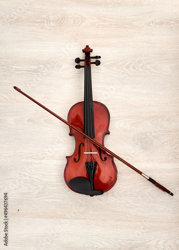 violin and bow on white