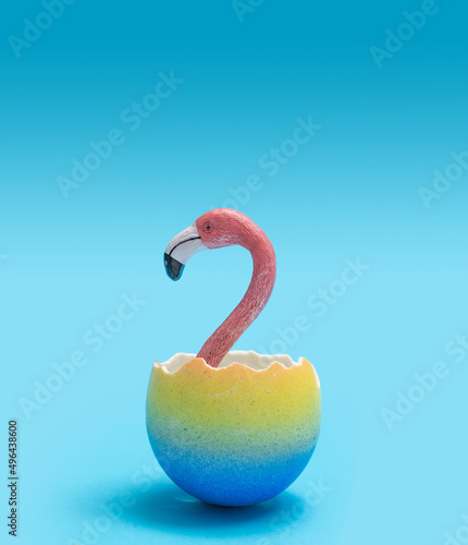 Beautiful hatch minimal concept. Awesome pink flamingo heads pop out from just broken funky yellow and marine blue egg shells. Creative copy space above with bright blue background
