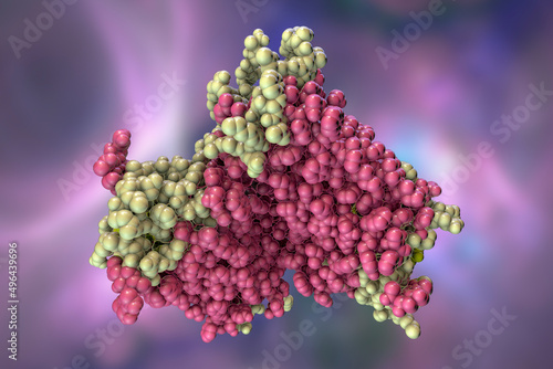 Vászonkép Rhodopsin molecule, 3D illustration