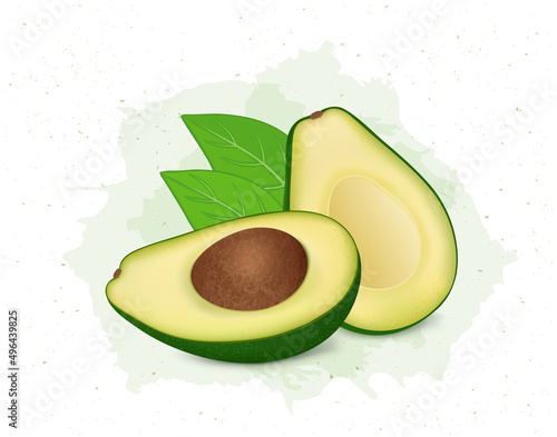 Half piece of fresh green avocado fruit with avocado seed and leaves vector illustration