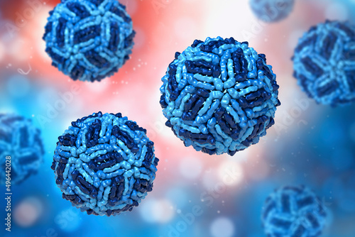 West Nile virus, WNV, 3D illustration photo