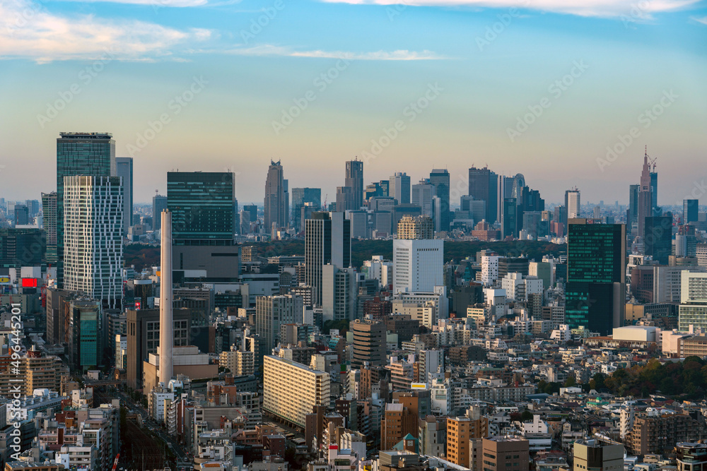 Tokyo central area cityscape at daytime.