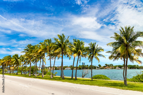 Obraz na płótnie Palm trees in Miami Beach