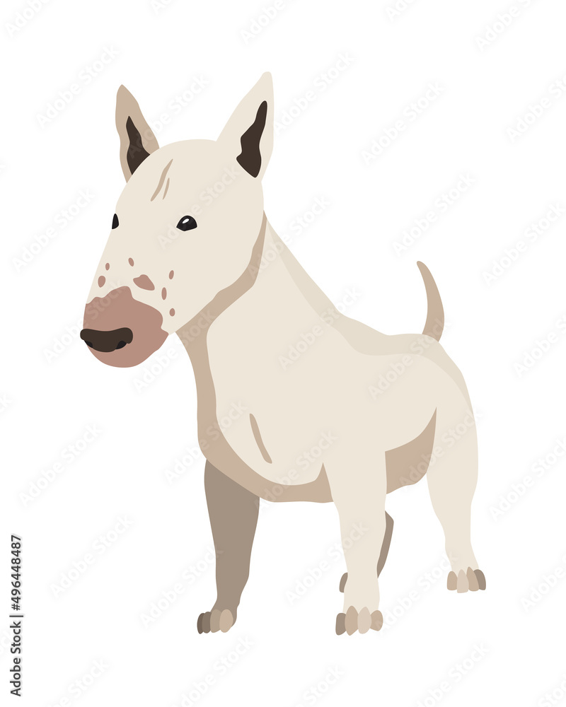 Dog breed bull-terrier. Cartoon domestic pet character with smooth-haired, flat vector illustration. Human friend home animal Dog breed bull-terrier. Cartoon domestic pet character with smooth-haired, flat vector illustration. Human friend home animal
