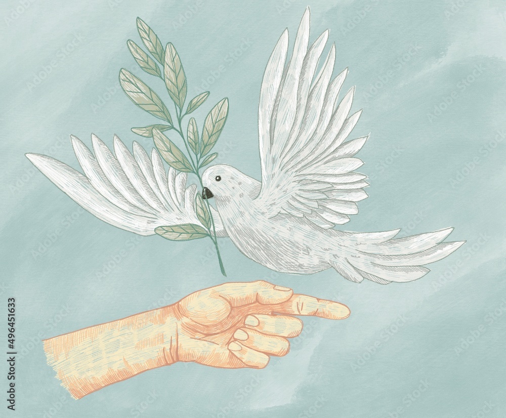 Hand and White Dove with olive leaf. Symbol of peace. Care and peace