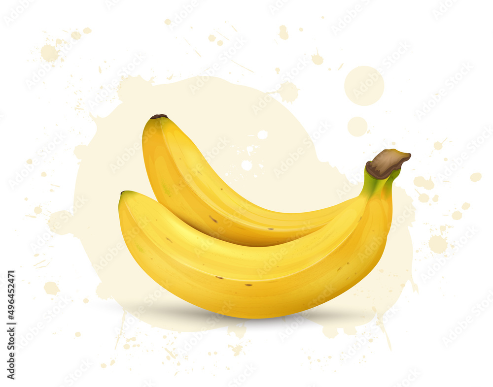 Banana fruit vector illustration isolated on white background