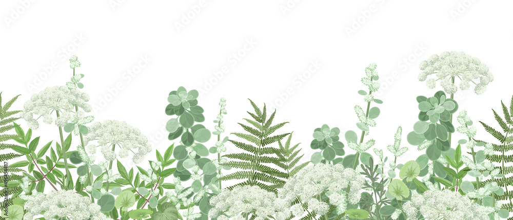Meadow with forest plants and flowers, seamless vector panoramic illustration. - obrazy, fototapety, plakaty 