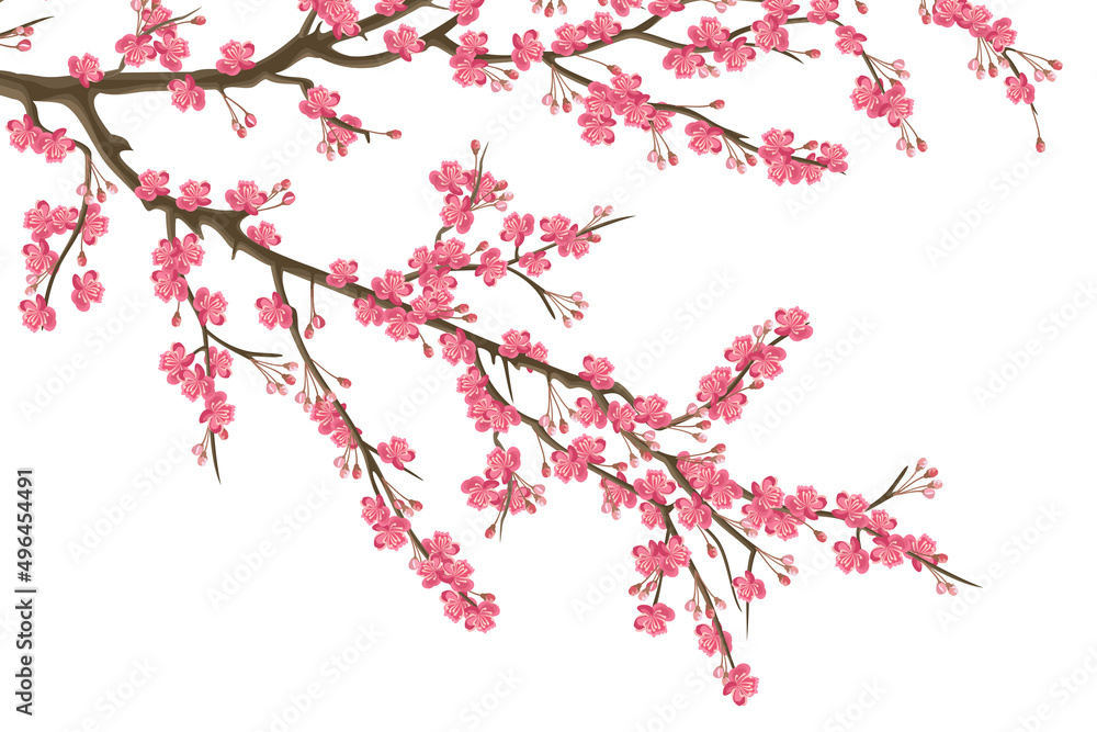 Fototapeta premium Blooming sakura branch with pink flowers, realistic vector illustration.