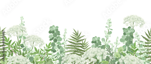 Meadow with forest plants and flowers, seamless vector panoramic illustration.