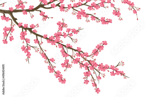Blooming sakura branch with pink flowers, realistic vector illustration. © Татьяна Любимова