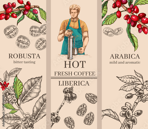 659_coffee, arabica, robusta, liberica set of botanical illustrations coffee, plant, grains, flowers, leaves, branches, black outline, engraving, hand drawing, cafe menu design, variety, delicacy, ara