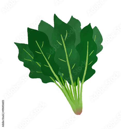 ほうれん草