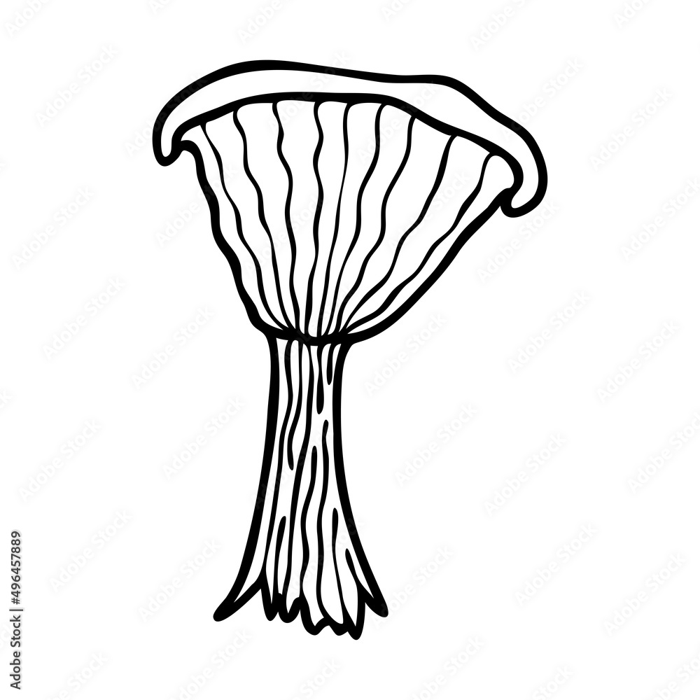 Vector contour mushroom. Mushroom icon. Simple clipart. Vector contour mushroom. Mushroom icon. Simple clipart.