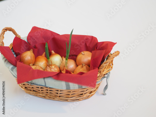 basket of green onion photo