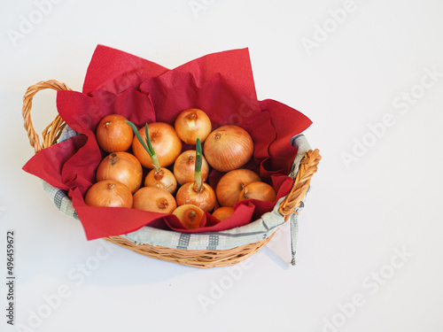 basket with onion photo