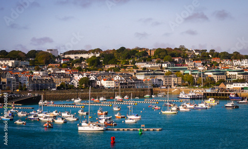 boats in the harbor