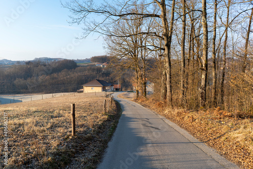 Wallpaper Mural country road in frosty winter morning Torontodigital.ca