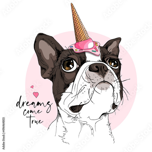 Portrait of the dreaming funny Boston Terrier dog in the pink Ice cream party hat. Dream come true - lettering quote. Humor card, t-shirt composition, hand drawn style print. Vector illustration.