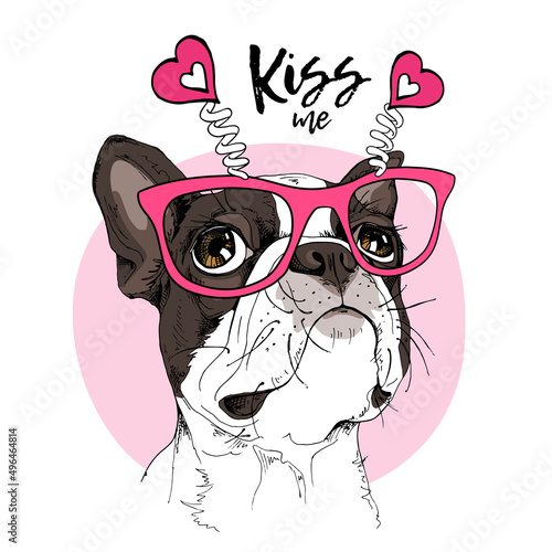Card of a Valentine's Day. Portrait of the dreaming funny Boston Terrier dog in the pink glasses with hearts. Humor card, t-shirt composition, hand drawn style print. Vector illustration. photo