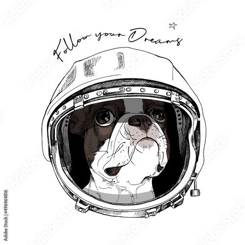 Funny Boston Terrier in the retro Astronaut's helmet. Follow your Dream - lettering quote. Humor card, t-shirt composition, hand drawn style print. Vector illustration.