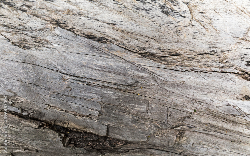 close-up of old wood as background close-up of old wood as background