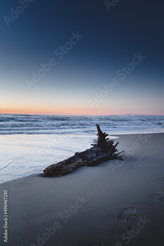 trunk on the beach at twilight