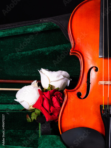 Hermoso violín de madera antigua en su estuche, junto a rosas blancas y rojas photo