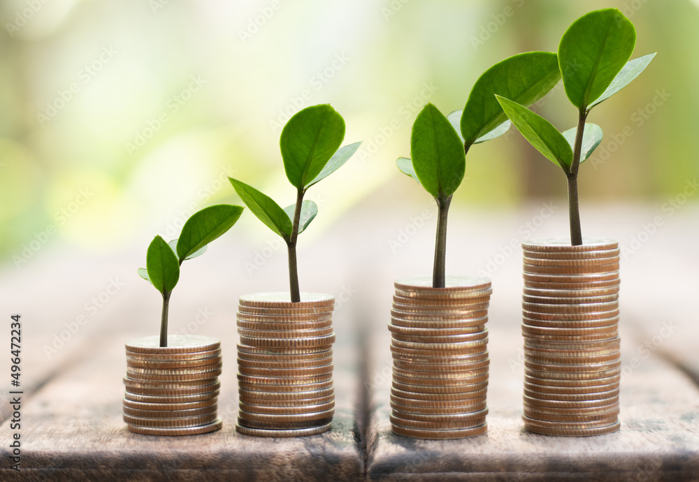 Coin in saving money concept. Coin in saving money concept.
