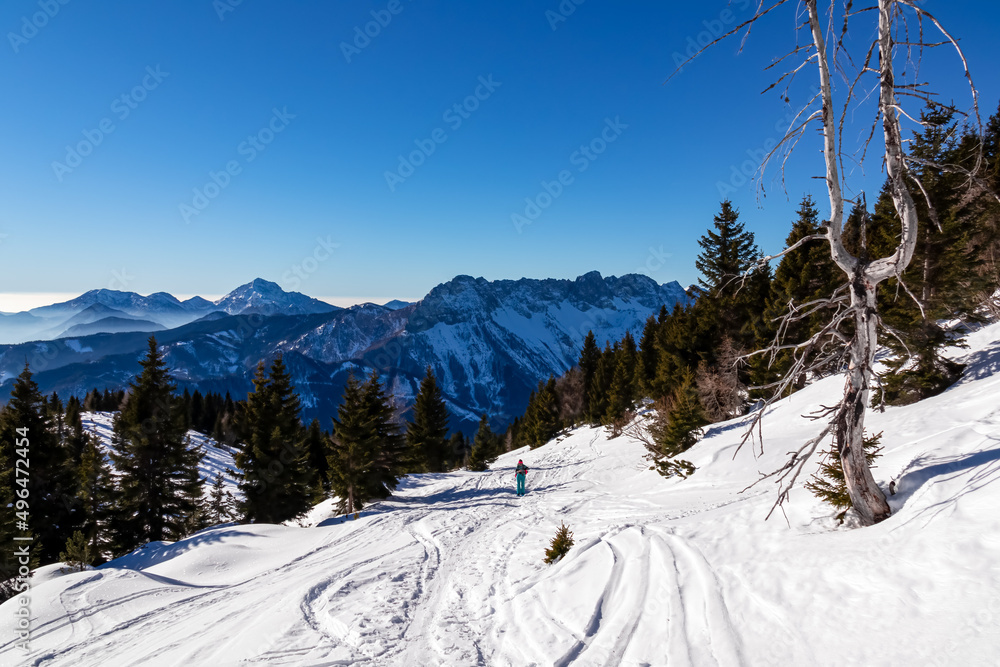Fototapeta premium Active woman snow shoe hiking on a trail with scenic view on snow capped mountain peaks of Karawanks in Carinthia, Austria. Ski tour. Julian Alps. Sunny winter day. Freedom. Winter wonderland,Hochobir