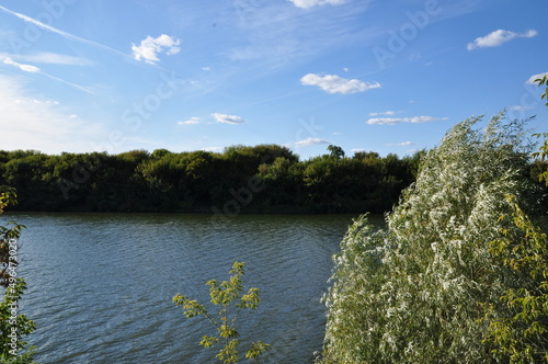 Panoramic view of the river on a sunny summer day. View of the banks of the river overgrown with trees.