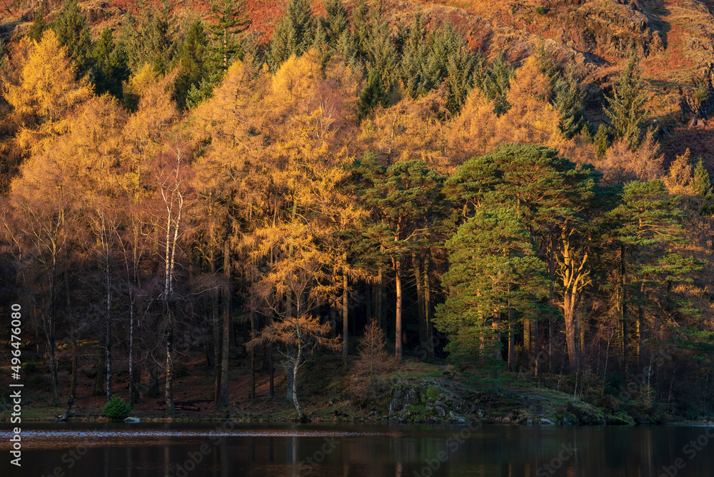 Fototapeta premium Stunning landscape of dramatic sunrise light over Blea Tarn in Lake District with stunning light