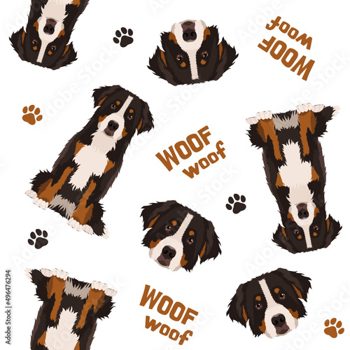 Seamless vector pattern. Bernese mountain dog