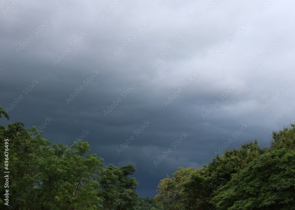 Cloudy rain is coming in the nature forest scenery background