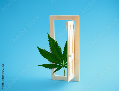 Marijuana leaf in open door on  blue background. Minimal art poster. photo