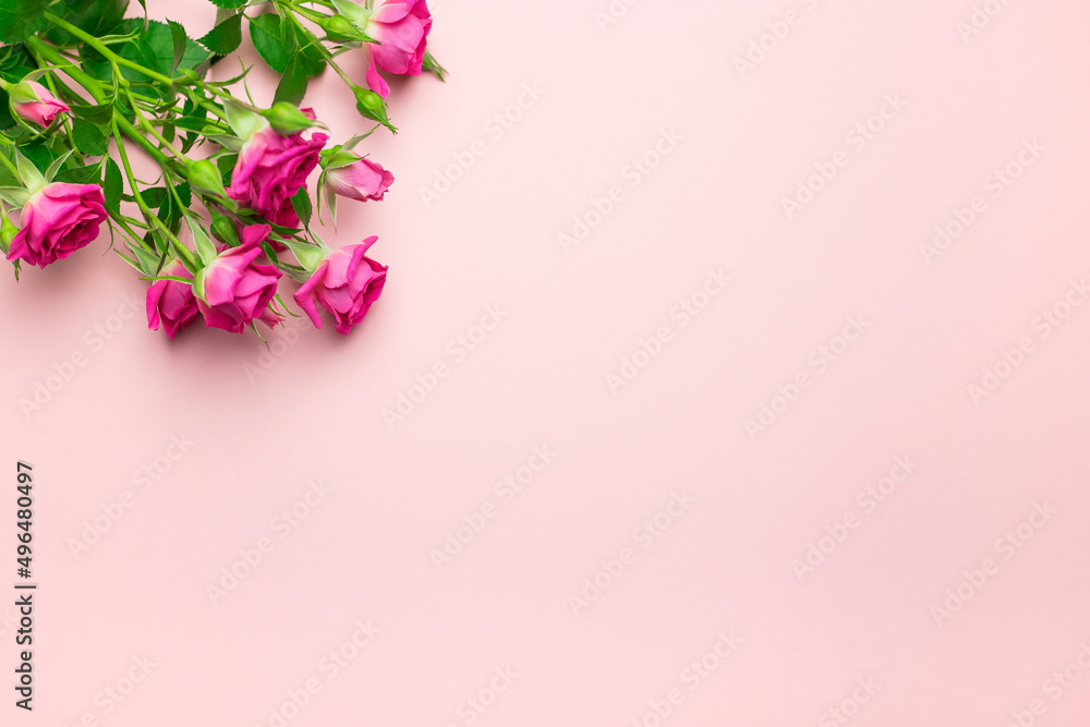 Pink roses are arranged on a flat border with a top view with space to copy, for Valentine's day and wedding on a pink background. Pink roses are arranged on a flat border with a top view with space to copy, for Valentine's day and wedding on a pink background.