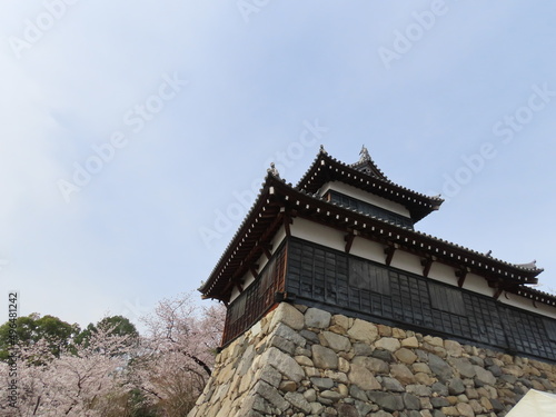 奈良、郡山城跡の桜。