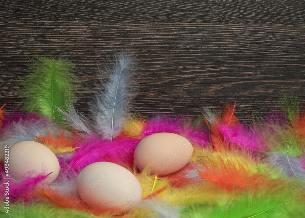 wielkanocne jaja w kolorowych piórach na ciemnym tle z miejscem na kopie - obrazy, fototapety, plakaty 