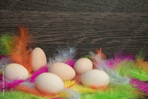 wielkanocne jaja w kolorowych piórach