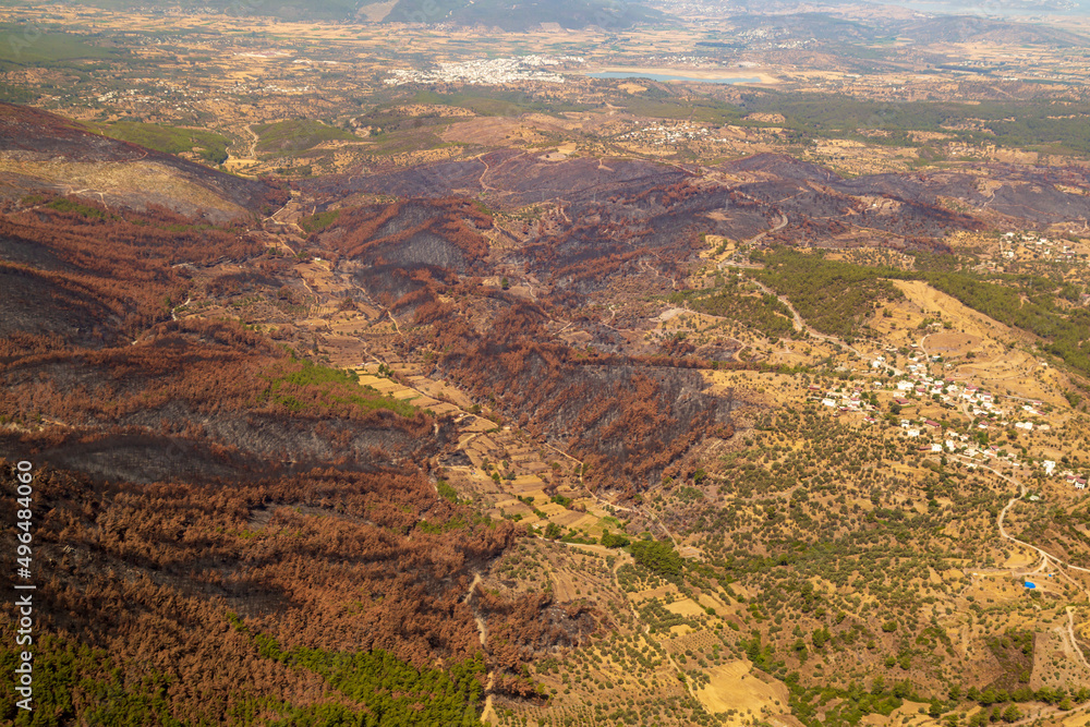 Trees burnt in forest fires of July 2021 in Marmaris resort town of Turkey from helicopter