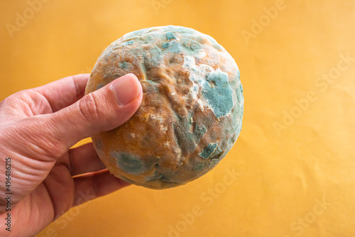 Hand holding moldy bread, closeup