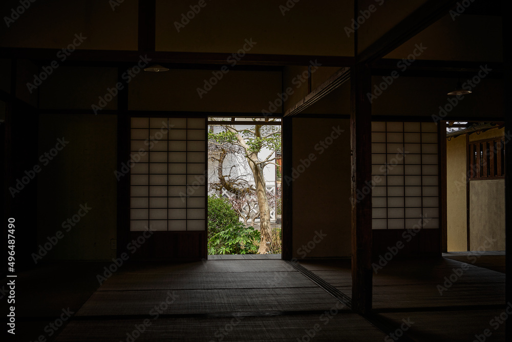 日本家屋の室内と坪庭