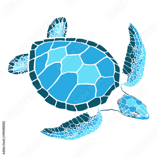 graphic sea turtle,vector illustration of sea turtle,vector of turtle design on a white background