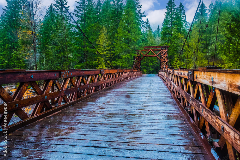 Obraz premium A wooden bridge in the middle of a forest,Washington States, USA