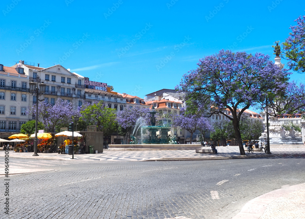 Naklejka premium Rossio square in Lisbon in Portugal with purple blooming Jacaranda mimosifolia trees