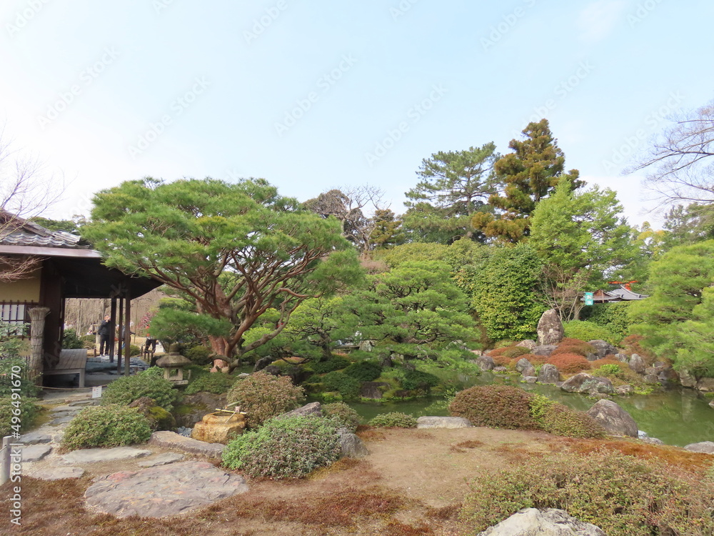 京都、城南宮の梅や花